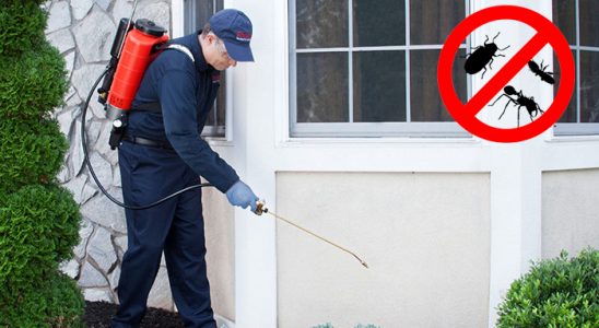 Arhavi Fare İlaçlama böcek ilaçlama ve haşere kontrolü — ilaclama-tr.com